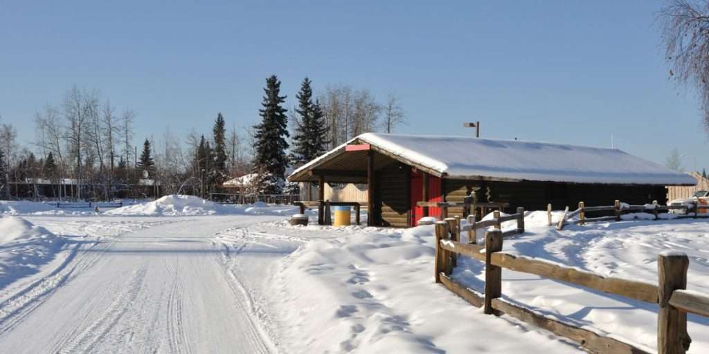 Denali National Park