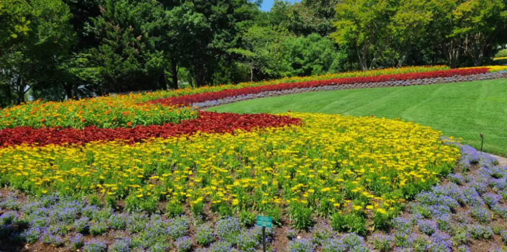 Arboreto de Dallas e Jardim Botânico