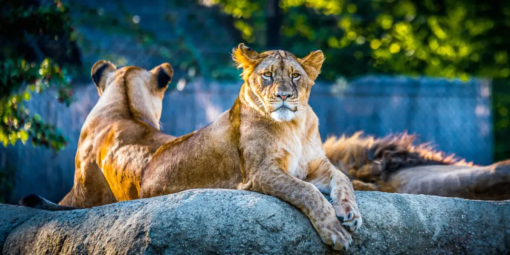Oklahoma City Zoo and Botanical Garden