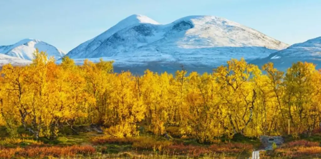 Parque Nacional Abisko